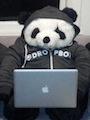 Picture of Panda