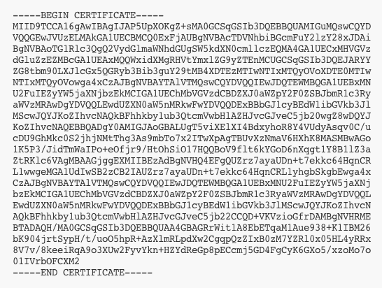 An example of an encoded X.509 certificate